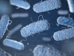 Alerta por brote de bacteria Legionella en Nueva York. ¿Qué es?