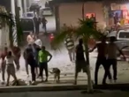Captan pelea campal en municipio de Querétaro, hasta un perro se metió