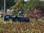 Mueren dos militares tras enfrentamientos en Navolato y Badiraguato