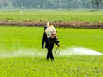 Casa Blanca descarta límites a pesticidas pese a riesgos infantiles