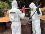 Semar neutraliza narcolaboratorio en Sinaloa 
