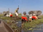 Elefante enloquece y ataca a turistas de safari en Botswana | VIDEO 