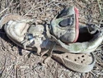 Hallan dos fosas clandestinas en Tamaulipas