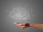 Dieta puede influir directamente en envejecimiento cerebral