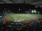 Así se jugarán los Playoffs de la Liga Mexicana de Beisbol