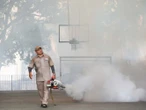 Suman 3 mil 354 casos de dengue en México 