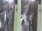 Colapsa barda de adobe y sepulta a mujer de 66 años en San Pedro Cholula | VIDEO