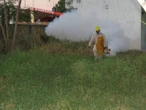 Casos de dengue en Hidalgo: San Felipe Orizatlán encabeza la lista