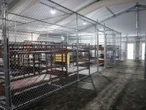 Migrantes mexicanos pagaron una multa... pero fueron llevados al Alligator Alcatraz