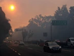México entre los 10 países con más pérdida de bosques a nivel mundial