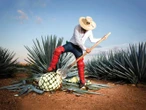 Tequila, orgullo de Jalisco: Potencia mundial enfrenta retos ambientales 