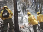 Incendio forestal en Oaxaca deja tres personas muertas 