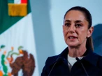 Sheinbaum celebra acuerdo con EU para reapertura gradual de la frontera al ganado mexicano