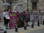 Universidad de Guadalajara descuida crisis de estudiantes desaparecidos: Político MX