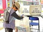 Observadores electorales omitieron informes al INE; sólo 2.7% reportó resultados