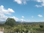 Explosión en taller de pirotecnia deja cuatro heridos; “el suelo tembló, parecía un sismo”