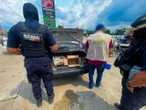 Decomisan 40 animales de vida silvestre que vendían en carretera de Tabasco