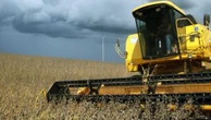 Supermercados europeus pressionam para manter moratória da soja na Amazônia