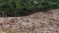Operação do Ibama gera conflito com ruralistas do Pará antes da COP30