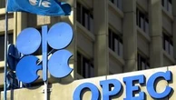 Opep reafirma crescimento do PIB do Brasil nos próximos anos, mas aponta riscos econômicos