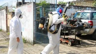 Ministério da Saúde intensifica ações em 80 municípios prioritários em combate à dengue