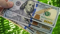 Dólar cai e fecha a R$ 5,50 com alívio global após retaliação tímida do Irã aos EUA; Ibovespa inicia semana em baixa