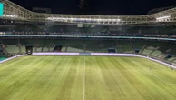 Gramado do Allianz cria atrito entre Abel, elenco e direção do Palmeiras; entenda cenário