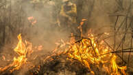 Por que os incêndios florestais no Brasil estão batendo recordes?