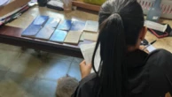 Polícia Federal deflagra Operação DeLorean contra fraudes previdenciárias no Distrito Federal
