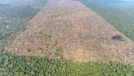 Amazônia perde 1,2 mil campos de futebol por dia