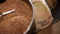 Compras de café brasileiro pelos EUA caem pela metade em um ano