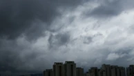 Queda de árvores na Alameda Santos, em São Paulo, deixa via interditada
