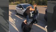 Deputado Rafael Saraiva é agredido ao tentar resgatar animais em feira para venda de filhote