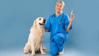 5 dicas para vacinar seu pet sem comprometer o orçamento