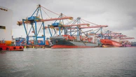 Porto de Santos bate recorde após ‘tarifaço’ de Trump e movimenta mais de 17 milhões de toneladas em julho