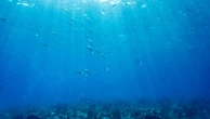 Conferência das Nações Unidas sobre os Oceanos reune líderes globais, na França