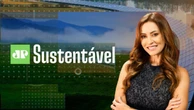 JP Sustentável Especial COP30 traz debate sobre licenciamento ambiental