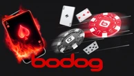 Bodog poker – Site confiável para jogar no Brasil