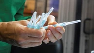 Nova vacina contra Zika tem resultados promissores em testes com camundongos