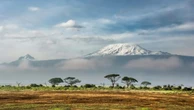 Pesquisadores fazem descoberta surpreendendo e encontram rãs a 4.000 metros de altitude na Tanzânia