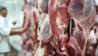 Estados Unidos aumentam compra de carne brasileira antes de tarifa de Trump, diz Cepea