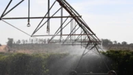 PIB brasileiro cresce 1,1% no primeiro trimestre de 2026, diz IBGE