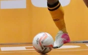 Campeonato Brasileiro de Futsal: times, jogos, campeões, história e onde assistir