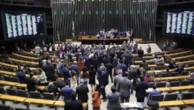 Câmara dos Deputados debate ensino a distância em cursos de Medicina Veterinária