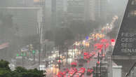 Chuva em São Paulo derruba árvores, causa engarrafamento e deixa quase 425 mil pessoas sem luz