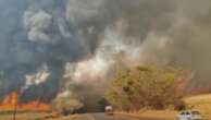 Agosto foi o mês mais devastador para o clima com metade da área queimada no Brasil em 2024