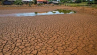 Brasil aprova plano de combate à desertificação até 2045
