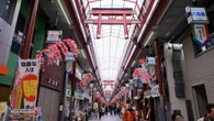 ｢ヒョウ柄おばちゃん｣て本当にいるのんか？大阪人歴40年､今は京都の筆者が｢大阪最長商店街｣2.6km歩いて見たリアルな姿 | ライフ | 東洋経済オンライン