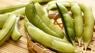 ｢"豆ご飯用の豆"がない？｣関西出身の生活史研究家が東京で気づいた"ご当地食材"の地域差〜47都道府県おいしいもの巡り | ライフ | 東洋経済オンライン