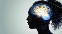 思考をなんでも生成AIに外注できる時代…｢自分とは何者か｣を探るために｢自分の脳｣の役割を検証してみたら | キャリア・教育 | 東洋経済オンライン